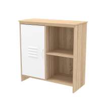 2 Tier Storage Cabinet Wood Cube Shelf With 1 Metal Door